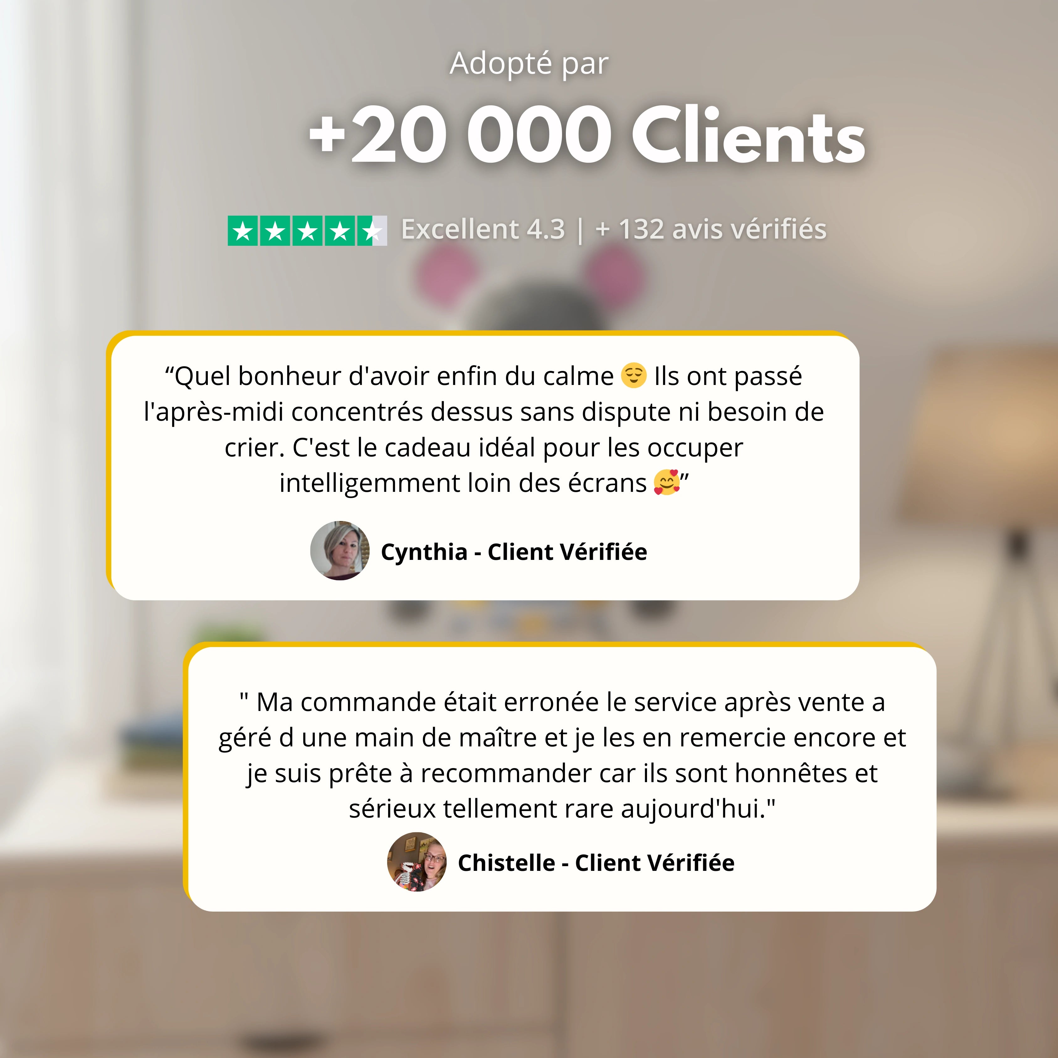 Ours Géant à Assembler (5000+ pcs)